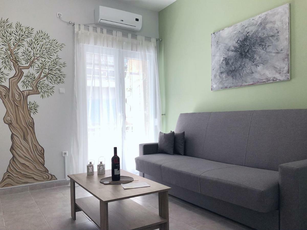 Olive Tree Apartment Of Athens - City Center Exteriér fotografie